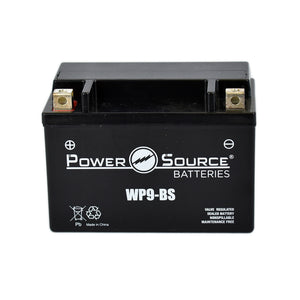 WP9-BS AGM Battery