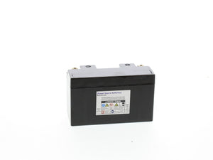 WP7B-4 AGM Battery