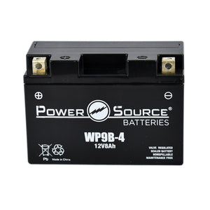 WP9B-4 AGM Battery